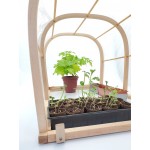 Mini-greenhouse LET'S GROW